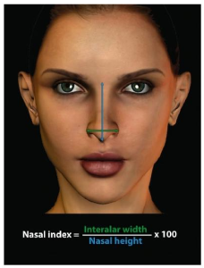 Nasal dimensions