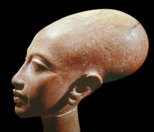 Sculpture of the ancient Egyptian queen Nefertiti (18th Dynasty). Some commentators have opined that the statue's head form was meant to represent the afro-textured hair of the Tutsi Bantus and other "Negro" peoples.