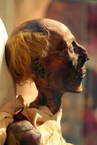Mummy of the ancient Egyptian Pharaoh Ramesses II, with his actual soft-textured, straight red hair visible.