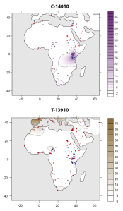 Contour map showing the allele frequency distribution in Africa of the C-14010 and T-13910 lactase persistence alleles