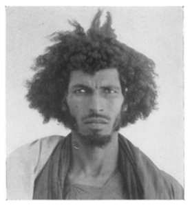 A Sahrawi Berber/Moor man with the amrani phenotype. Essentially of the same ancestral stock as the beidan North Africans, albeit with minor Sub-Saharan admixture. The amrani physiognomy can be found throughout North Africa but is most common in the southern areas, particularly among Saharan Berbers (Sahrawi Moors, Tuareg & Siwa Berbers), southern Moroccans, northern Sudanese and southern Egyptians. It is roughly equivalent with the mariin phenotype that is widespread among the Afro-Asiatic-speaking populations in the Horn region.