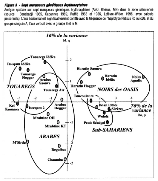 Serological analysis of the Tuareg Berbers, the Ikelan (the slave class within Tuareg society), and other populations of the Sahara and Sahel. The Tuareg individuals cluster with the Arabic-speaking Maghrebi samples. The Ikelan group instead with the Niger-Congo-speaking Serer, Wolof and Toucouleur (Haalpulaar), and more remotely with the Fulani (Peul) of Senegal and the Haratin.