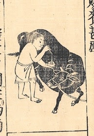Illustration of an ancient pastoralist man from Po-Pa-Li, as depicted in the 1712 Japanese compendium Wakan Sansai Zue. The portrayal concurs with testimony left by the 9th century Chinese scholar Duan Chengshi, who described the women of Po-Pa-Li as "immaculately white, straight and tall." This is an early description of the light-skinned cad phenotype that exists among the Cushitic populations of the Horn region. Since Po-Pa-Li was the Azania of old, this portrayal of a Po-Pa-Li inhabitants therefore depicts an ancient Azanian.