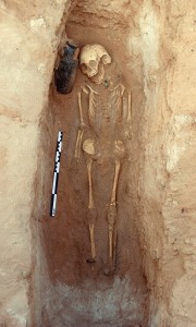 Skeleton of a child excavated from a cairn at Heis (Xiis) in northwestern Somalia. The individual (c. 7.5 to 9.5 years old) was interred with several grave goods, including a Roman glass flagon dated to the 3rd century CE. Since this Tomb 120 is contemporaneous with ancient Mundus, the person buried within it appears to be one of the "Berbers" (Barbaroi) described in the Periplus (González-Ruibal et al. (2022)).