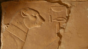 A snippet of one of two secretary bird depictions on the Portico of Punt at Deir el-Bahri. The other bird figure is better preserved and displays the species' distinctive head feathers, which allowed ontologists to precisely identify it. Since the secretary bird is only found in Africa, this finding supports a Northeast African location for Punt