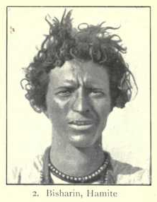 A Cushitic Bisharin Beja man with soft-textured wavy hair. Forensic, genetic and iconographic analysis indicates that the Cushites of the Pastoral Neolithic had non-kinky hair, which they passed on to their modern descendants.