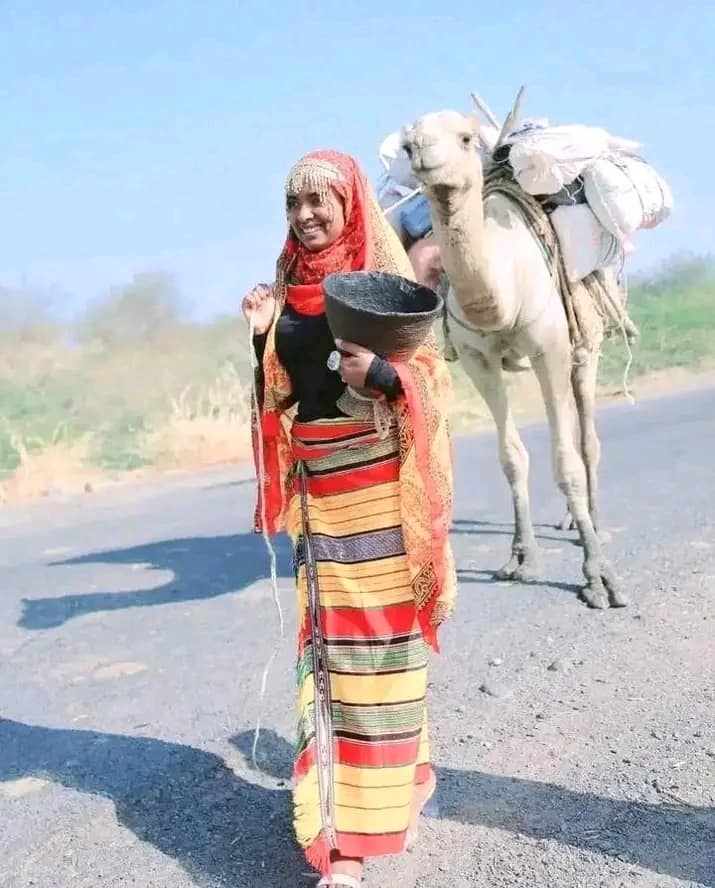 A Somali pastoralist woman. Archaeogenetic analysis of Middle Neolithic specimens excavated at the Skhirat site in the Maghreb has found that these pastoralists bore Levantine ancestry (cf. Simões (2023a); Simões (2023b)). Since both ancient and modern Afro-Asiatic speakers in the Horn vicinity and Nubians in the Nile Valley bear this Levantine ancestry, this suggests that pastoralism was first introduced to Africa during the Neolithic period, by herders who originated from the Middle East.