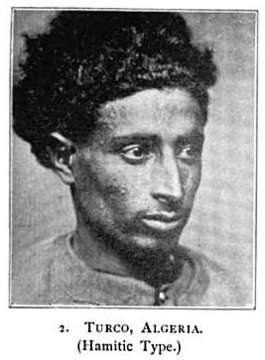 An Algerian Berber man, representing a Maghrebi individual of typical western "Hamitic" type (Keane (1899)).