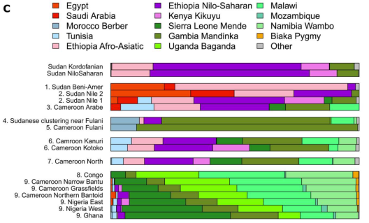 Genome analysis of Sudanese "Arab" individuals and other modern samples from Africa. The examined Sudanese "Arabs" (labeled here "Sudan Nile 2") derive most of their Eurasian autosomal DNA from an Egypt-related source (light red), followed by a Somali-related source (pink), and then a Saudi Arab-related source (dark red). This is consistent with our genome analysis, which indicates that contemporary Sudanese "Arabs" and Nubians trace most of their proximal or recent ancestry to the medieval Kulubnari Nubians, who in turn descend from the ancient Egyptian-related X-Group and Meroitic populations of Sudan (Bird et al. (2023)).