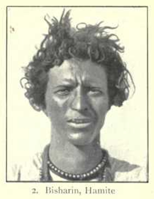 A Bisharin Beja man, representing a Cushitic individual of "pure" eastern "Hamitic" type (Keane (1899)).