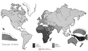 Global hair texture distribution map. Many Afro-Asiatic-speaking individuals of the Horn of Africa (particularly Cushitic speakers in the northern areas) have wavy hair like other Afro-Asiatic speakers in North Africa and the Middle East.