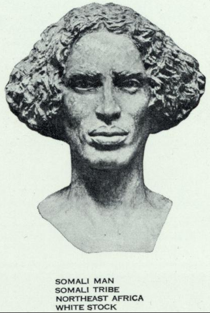 Sculpture of a Somali man by Malvina Hoffman. Notice again the close likeness to the ancient Puntite figures, which are portrayed at Hatshepsut's temple in Deir el-Bahri.
